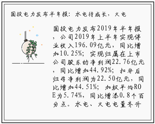 国投电力发布半年报：水电待成长，火电弹性现_beat365官网