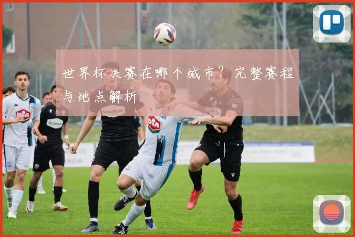 世界杯决赛在哪个城市？完整赛程与地点解析